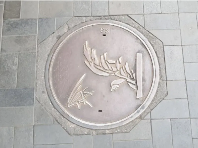 desain manhole cover di new zealand